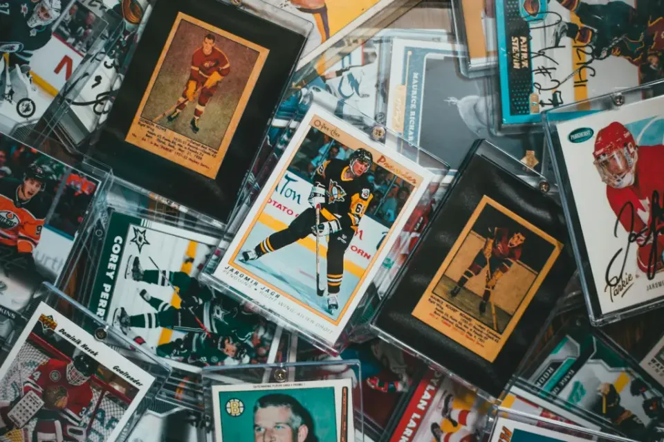 NHL Teams with the Best Fan Bases
